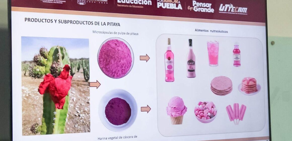 UTTECAM_1901_(3) UTTECAM impulsa proyecto sobre compuestos bioactivos de pitaya en la Mixteca