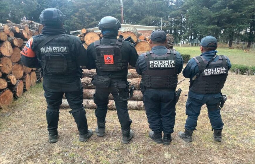 WhatsApp Image 2026-01-20 at 5.49.16 PM Con Operativo Interestatal Puebla–Tlaxcala, se aseguran más de 70 troncos de madera