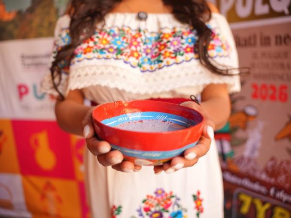 710ae6f8e0872d0b6b40a826f18abf27_L Feria del pulque en San Mateo Ozolco
