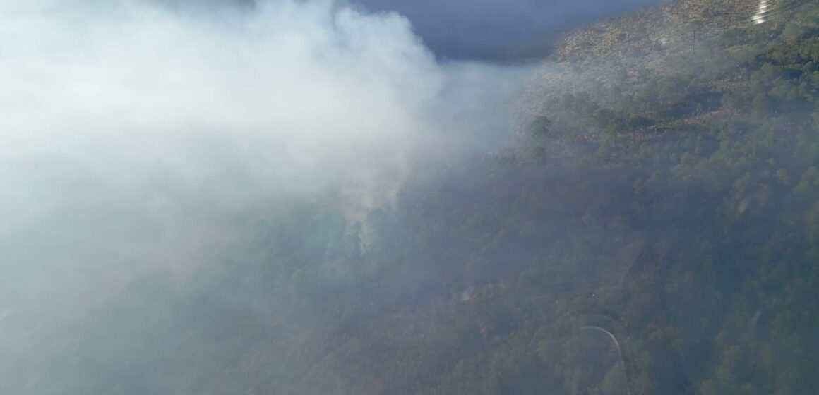 WhatsApp Image 2026-02-21 at 11.45.40 AM Incendio forestal de Oriental registra un 90 % de control