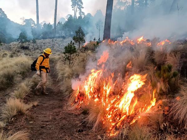 a64d7150962c8aeff6699a0cb8168349_L Llevan 34 incendios controlados en el estado de Puebla