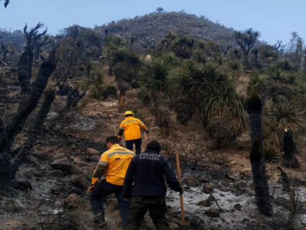 f85f2880df2eaadd498585c26fe28c29_L Controlan incendios forestales en Amozoc y Oriental