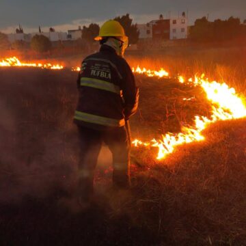 WhatsApp Image 2026-03-19 at 8.03.12 AM Coordinación permitió combatir eficazmente 122 incendios forestales
