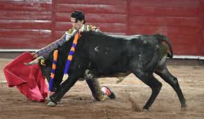 Edil de Tecali niega cancelación de novillada, informa Instituto de Bienestar Animal