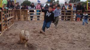 WhatsApp Image 2026-05-01 at 1.55.35 PM Cancelan actividad del “puerco encebado” en Zacatlán