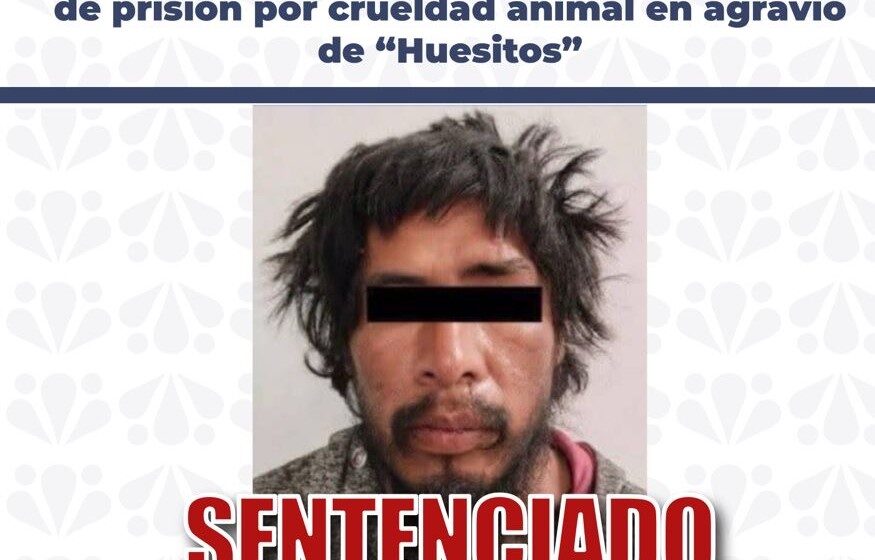 294(1) 11 años de prisión por crueldad animal en agravio de “Huesitos”